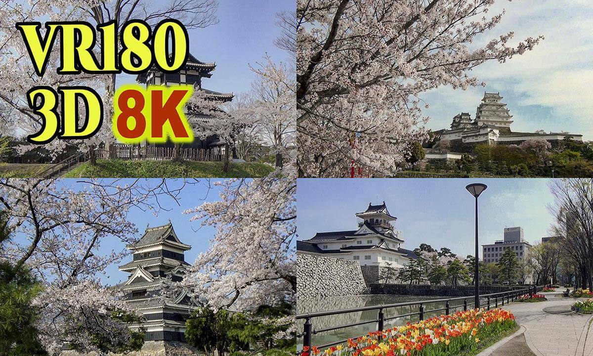 Japanese castles and cherry blossoms in western Japan , shot on old 3D video camera