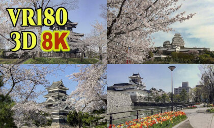 Japanese castles and cherry blossoms in western Japan , shot on old 3D video camera VR Video Japanese castles and cherry blossoms in western Japan , shot on old 3D video camera VR