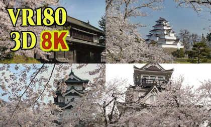 Japanese castles and cherry blossoms in Tohoku Region , Japan , shot on old 3D video camera VR Video Japanese castles and cherry blossoms in Tohoku Region , Japan , shot on old 3D video camera VR