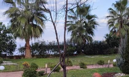 summer season 3d sbs Flast Test VR Video summer season 3d sbs Flast Test VR