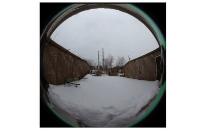 Backyard insta360 day