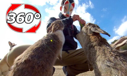[360 Video]  Rabbits request one after another.