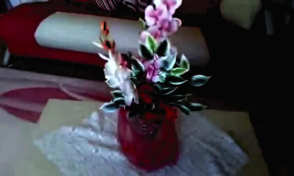 flower 3d sbs test 2a