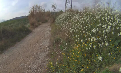 Cami de la Hipica Terrassa (Barcelona) VR Video Cami de la Hipica Terrassa (Barcelona) VR