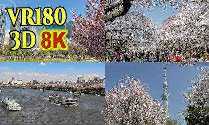 Famous cherry blossom spots in Tokyo, shot on old 3D video camera VR Video Famous cherry blossom spots in Tokyo, shot on old 3D video camera VR