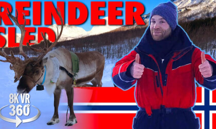 A Mesmerising Reindeer Ride - Guided Tour - 8K 360 VR Video! VR Video A Mesmerising Reindeer Ride - Guided Tour - 8K 360 VR Video! VR