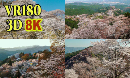 Mount Yoshino, a famous cherry blossom spot in Nara Prefecture,JAPAN , shot on old 3D video camera VR Video Mount Yoshino, a famous cherry blossom spot in Nara Prefecture,JAPAN , shot on old 3D video camera VR