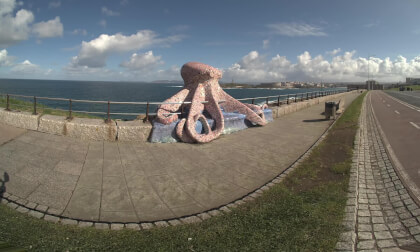 Escultura del Pulpo. A Coruña (VR180 3D)