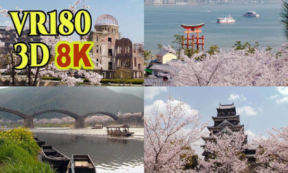 Cherry blossom viewing spots in Hiroshima and Yamaguchi prefectures,JAPAN , shot on old 3D video camera VR Video Cherry blossom viewing spots in Hiroshima and Yamaguchi prefectures,JAPAN , shot on old 3D video camera VR