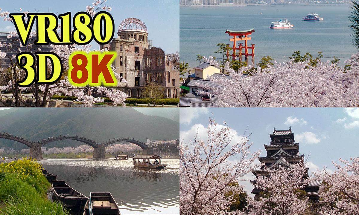 Cherry blossom viewing spots in Hiroshima and Yamaguchi prefectures,JAPAN , shot on old 3D video camera