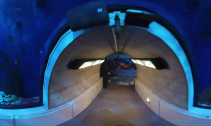 🌊 Immersive 360° Dive in the Glass Tunnel at Aquarium du Québec | VR Experience 🦈🐠 VR Video 🌊 Immersive 360° Dive in the Glass Tunnel at Aquarium du Québec | VR Experience 🦈🐠 VR