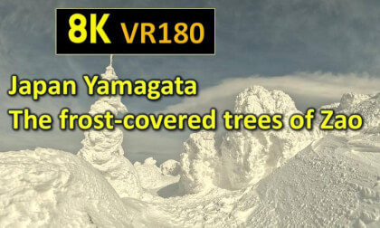 Japan Yamagata The frost-covered trees of Zao Japan Yamagata The frost-covered trees of Zao