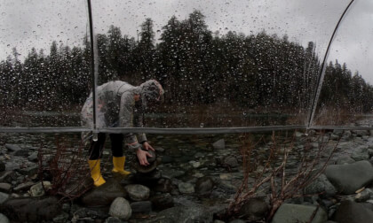 ASMR Stone balancing on a rainy river VR Video ASMR Stone balancing on a rainy river VR