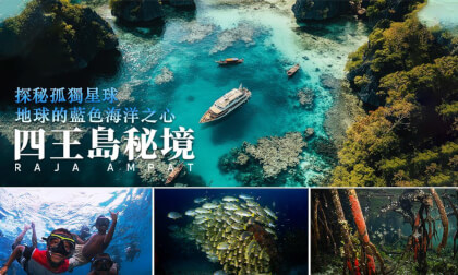 Liveaboard diving on RajaAmpat探秘孤獨星球—四王島潜水船宿(4k高清版) Liveaboard diving on RajaAmpat探秘孤獨星球—四王島潜水船宿(4k高清版)