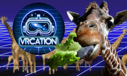 Feed the Giraffes at the Zoo VR Video Feed the Giraffes at the Zoo VR