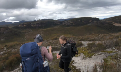 Hiking. Wog-wog walking track, Budawang National Park, Australia VR Video Hiking. Wog-wog walking track, Budawang National Park, Australia VR