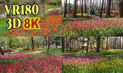 The beauty of the tulip fields at Hitachi Seaside Park and Showa Memorial Park in Japan VR Video The beauty of the tulip fields at Hitachi Seaside Park and Showa Memorial Park in Japan VR