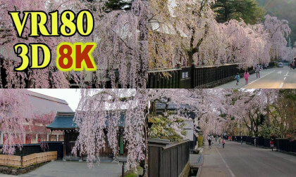 Samurai residences and weeping cherry blossoms in Kakunodate , Akita,JAPAN VR Video Samurai residences and weeping cherry blossoms in Kakunodate , Akita,JAPAN VR