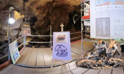 CUEVA VICTORIA VR Video CUEVA VICTORIA VR