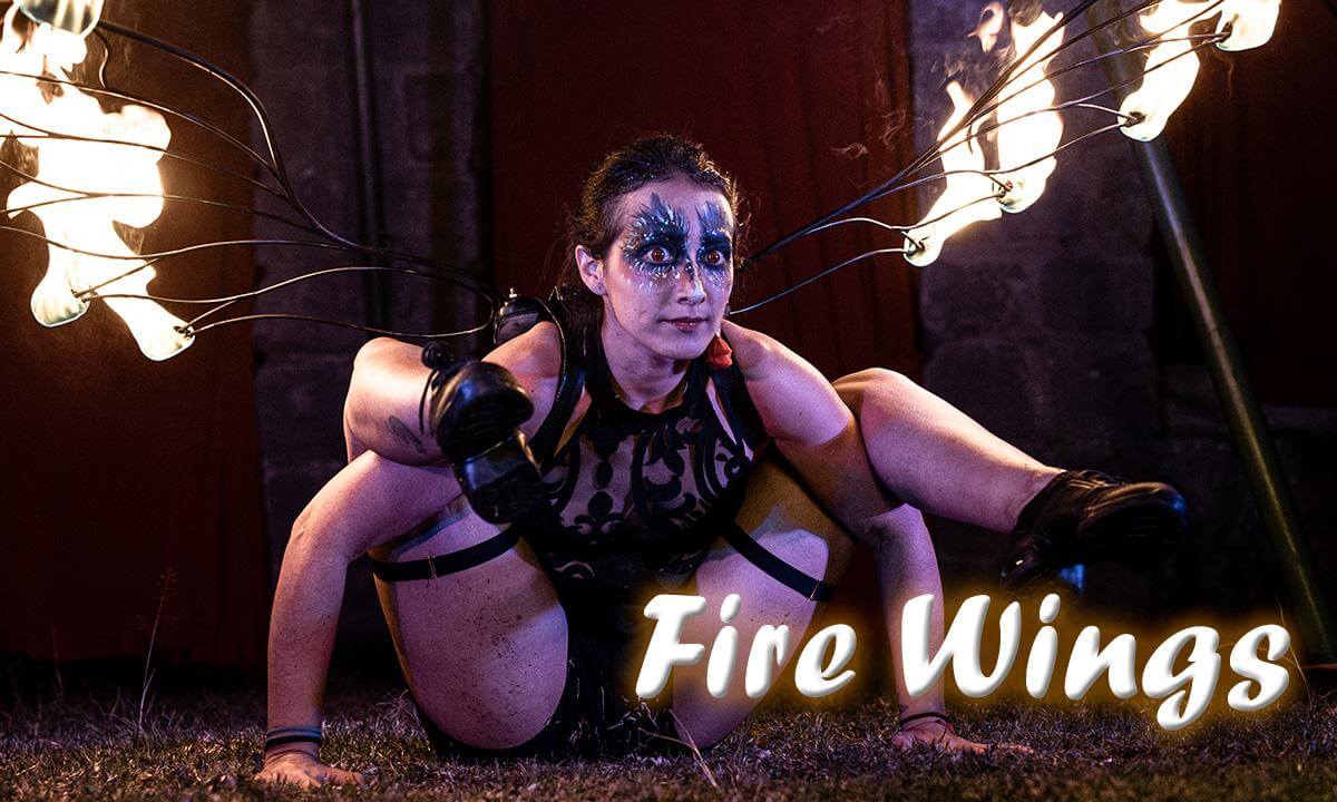 Fire Wings: Contortion & Aerial Lyra