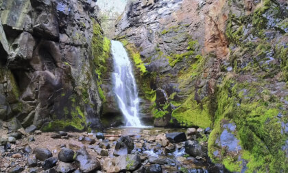 Waterfall on Tulip Creek