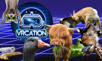 Feed the Zoo Animals VR Video Feed the Zoo Animals VR