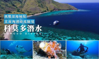 Divng In komodo:挑戰深海極限直面洶湧暗流險境 Divng In komodo:挑戰深海極限直面洶湧暗流險境