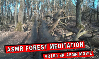 ASMR Forest Meditation | VR180 8K VR Video ASMR Forest Meditation | VR180 8K VR