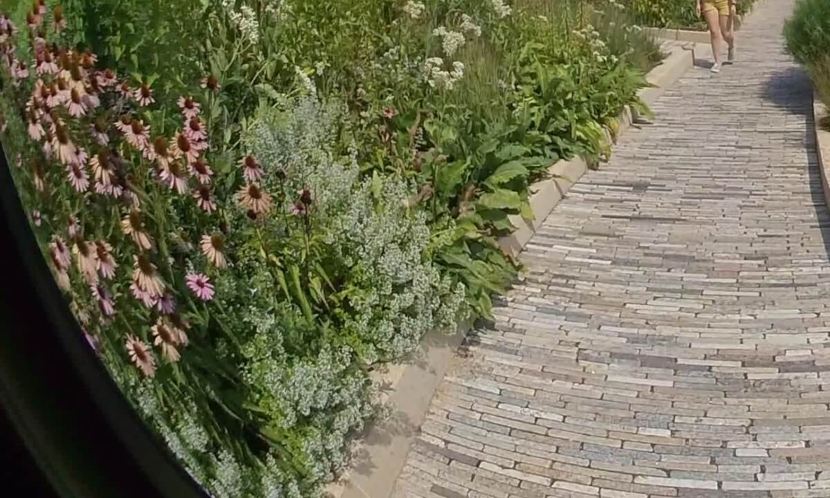 Lurie Flower Garden in Millennium Park During the Annual Lollapalooza Music Festival