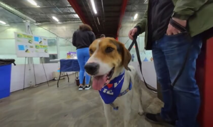 The Dogs of PAW at Michael and Son Sportsplex March 2023 VR Video The Dogs of PAW at Michael and Son Sportsplex March 2023 VR