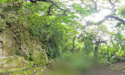 沖縄県北中城村 - Kitanakagusuku, Okinawa, Japan VR Video 沖縄県北中城村 - Kitanakagusuku, Okinawa, Japan VR