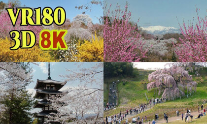 Spectacular view spots of cherry blossoms in Fukushima Prefecture,JAPAN VR Video Spectacular view spots of cherry blossoms in Fukushima Prefecture,JAPAN VR