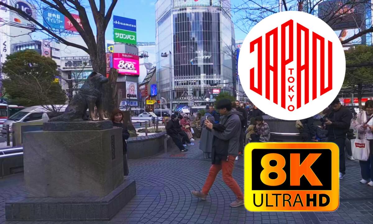 Around the famous Shibuya crossing Part2