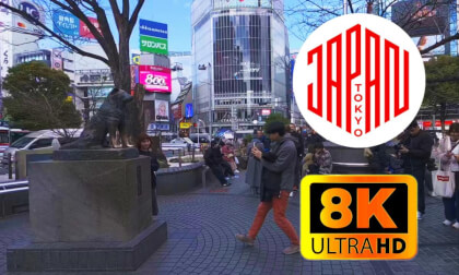 Around the famous Shibuya crossing Part2