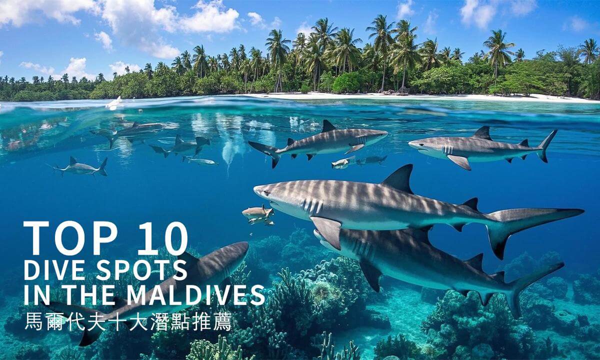 Maldives top 10 dive spots recommended馬爾代夫十大潛點推薦