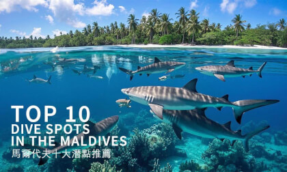 Maldives top 10 dive spots recommended馬爾代夫十大潛點推薦 Maldives top 10 dive spots recommended馬爾代夫十大潛點推薦