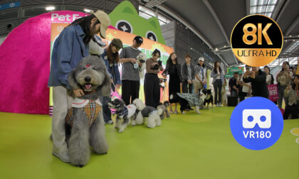 pet show  round1
