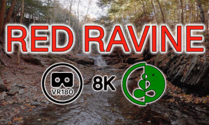 RED RAVINE | 8K 180° VR | Immersive Fall Stream | Relaxation & Nature VR Video RED RAVINE | 8K 180° VR | Immersive Fall Stream | Relaxation & Nature VR