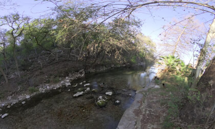 8K VR 180° | Peaceful Creekside & Wildlife – Immersive Nature Experience VR Video 8K VR 180° | Peaceful Creekside & Wildlife – Immersive Nature Experience VR