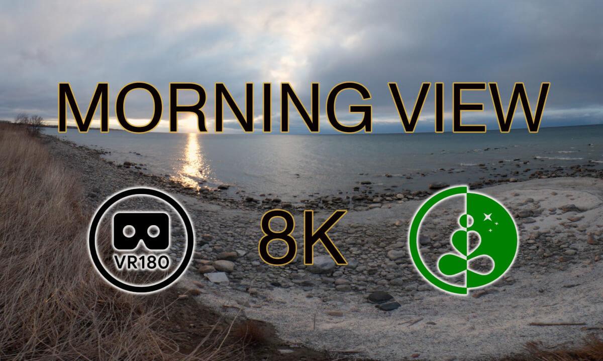 MORNING VIEW | VR180 | 8K | Nature Experience