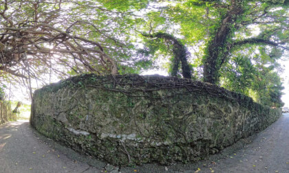 鹿児島県伊仙町 - Isen, Kagoshima, Japan VR Video 鹿児島県伊仙町 - Isen, Kagoshima, Japan VR