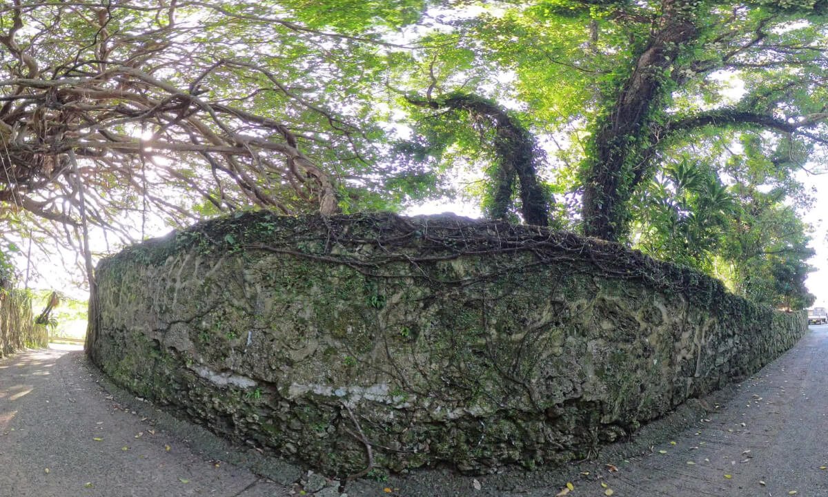 鹿児島県伊仙町 - Isen, Kagoshima, Japan