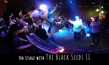 The Black Seeds II