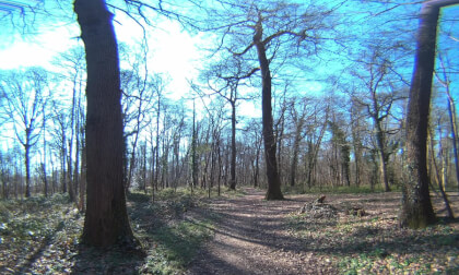 8K - VR 3D - LA FORÊT au jour le jour-18 mars 2025 VR Video 8K - VR 3D - LA FORÊT au jour le jour-18 mars 2025 VR