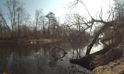 Water Meditation 8K VR180 VR Video Water Meditation 8K VR180 VR