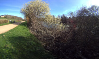 8K - VR 3D - ALLONNES Randonnée  Boulevard Nature