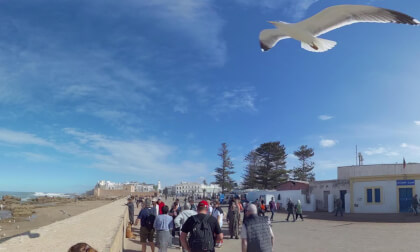 ESSAOUIRA MAROC (2) 23 JANVER 2025