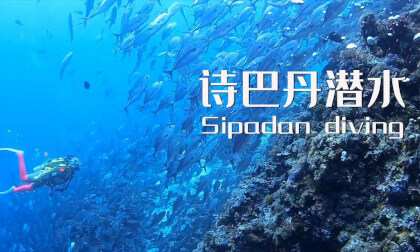 Diving in Sipadan讓你入迷的深藍大海 Diving in Sipadan讓你入迷的深藍大海