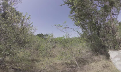 8K VR 180° | Vast Texas Brushland – Breathtaking Nature in Ultra HD VR Video 8K VR 180° | Vast Texas Brushland – Breathtaking Nature in Ultra HD VR