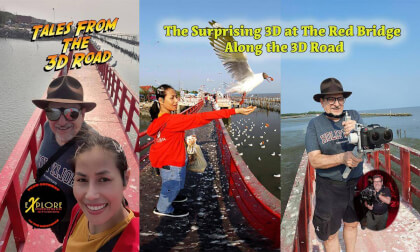The Surprising 3D at The Red Bridge Along the 3D Road VR Video The Surprising 3D at The Red Bridge Along the 3D Road VR